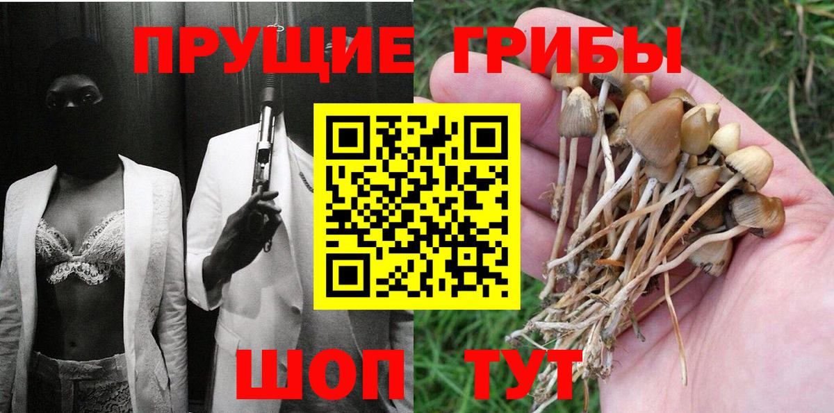 Псилоцибиновые грибы прущие грибы Бузулук