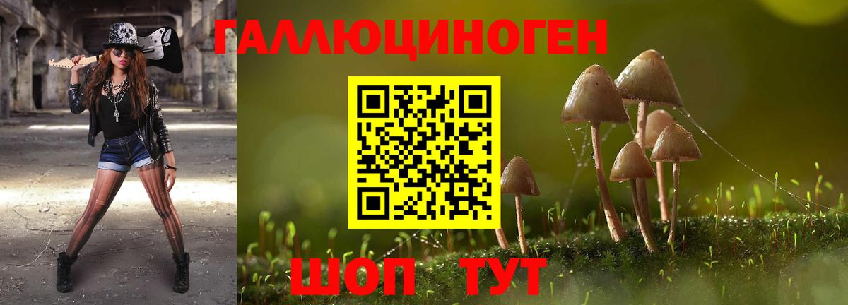 Бузулук  Псилоцибиновые грибы MAGIC MUSHROOMS  Вход с VPN 